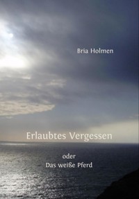 Erlaubtes Vergessen - Bria Holmen - ebook