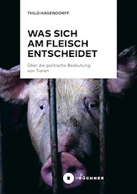 Was sich am Fleisch entscheidet - Thilo Hagendorff - ebook