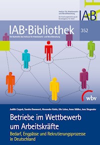 Betriebe im Wettbewerb um Arbeitskräfte - Judith Czepek - darmowy ebook