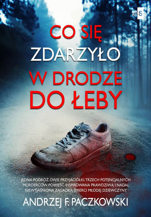 Okładka książki Co się zdarzyło w drodze do Łeby