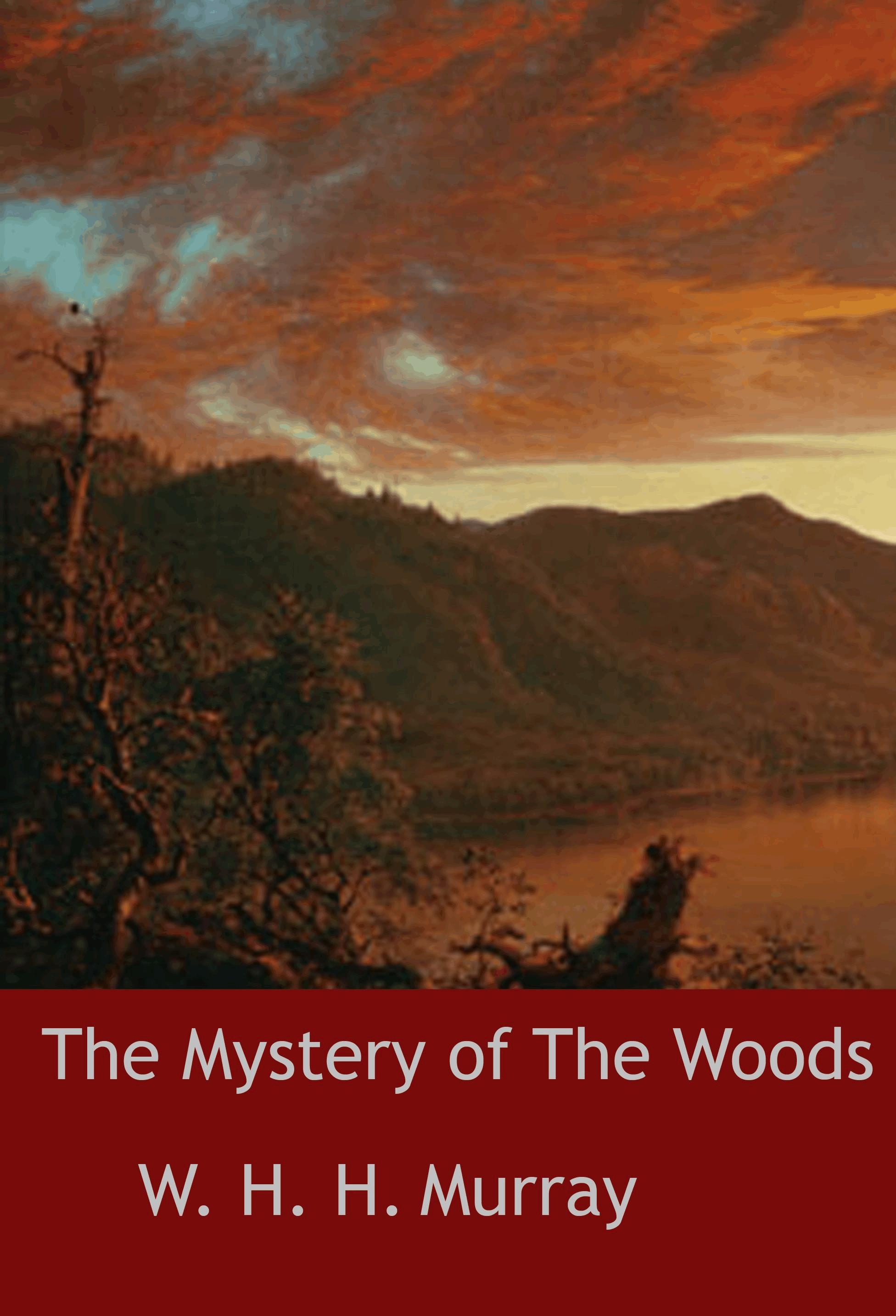 The Mystery of The Woods