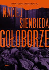 Gołoborze - Maciej Siembieda - książka