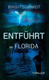 Entführt in Florida - Birgit Schmidt - ebook