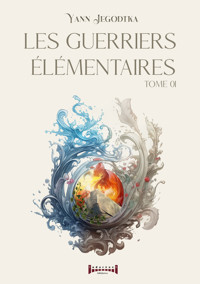 Les guerriers élémentaires - Tome 1 - Yann Jegodtka - ebook