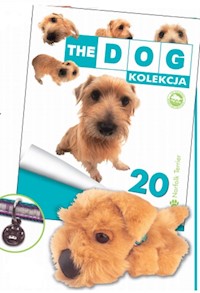 The dog Norfolk Terier -  - książka