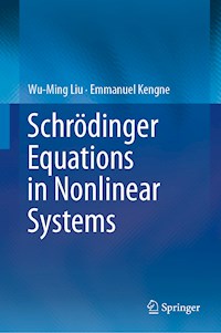 Schrödinger Equations in Nonlinear Systems - Wu-Ming Liu - ebook