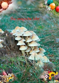 Das magische Jahr - Claudia Liath - ebook