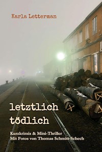 letztlich tödlich - Karla Letterman - ebook