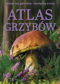 Atlas grzybów - zbiorowa praca - książka