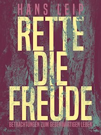 Rette die Freude - Hans Leip - ebook
