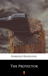 The Protector - Harold Bindloss - ebook