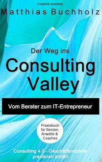 Der Weg ins Consulting Valley - Matthias Buchholz - ebook