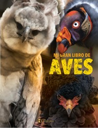 Mi gran libro de aves - Grupo editorial Sin Fronteras - ebook
