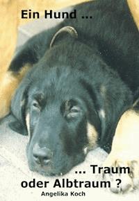 Ein Hund ... Traum - oder Albtraum - Angelika Koch - ebook