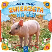 Maluch poznaje zwierzęta na wsi -  - książka