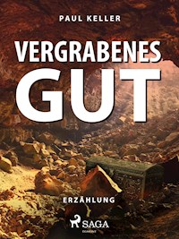 Vergrabenes Gut - Paul Keller - ebook