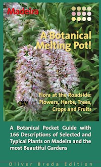 Madeira - Susanne Lipps - ebook