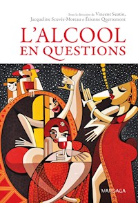 L'alcool en questions - Vincent Seutin - ebook