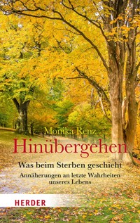 Hinübergehen - Monika Renz - ebook