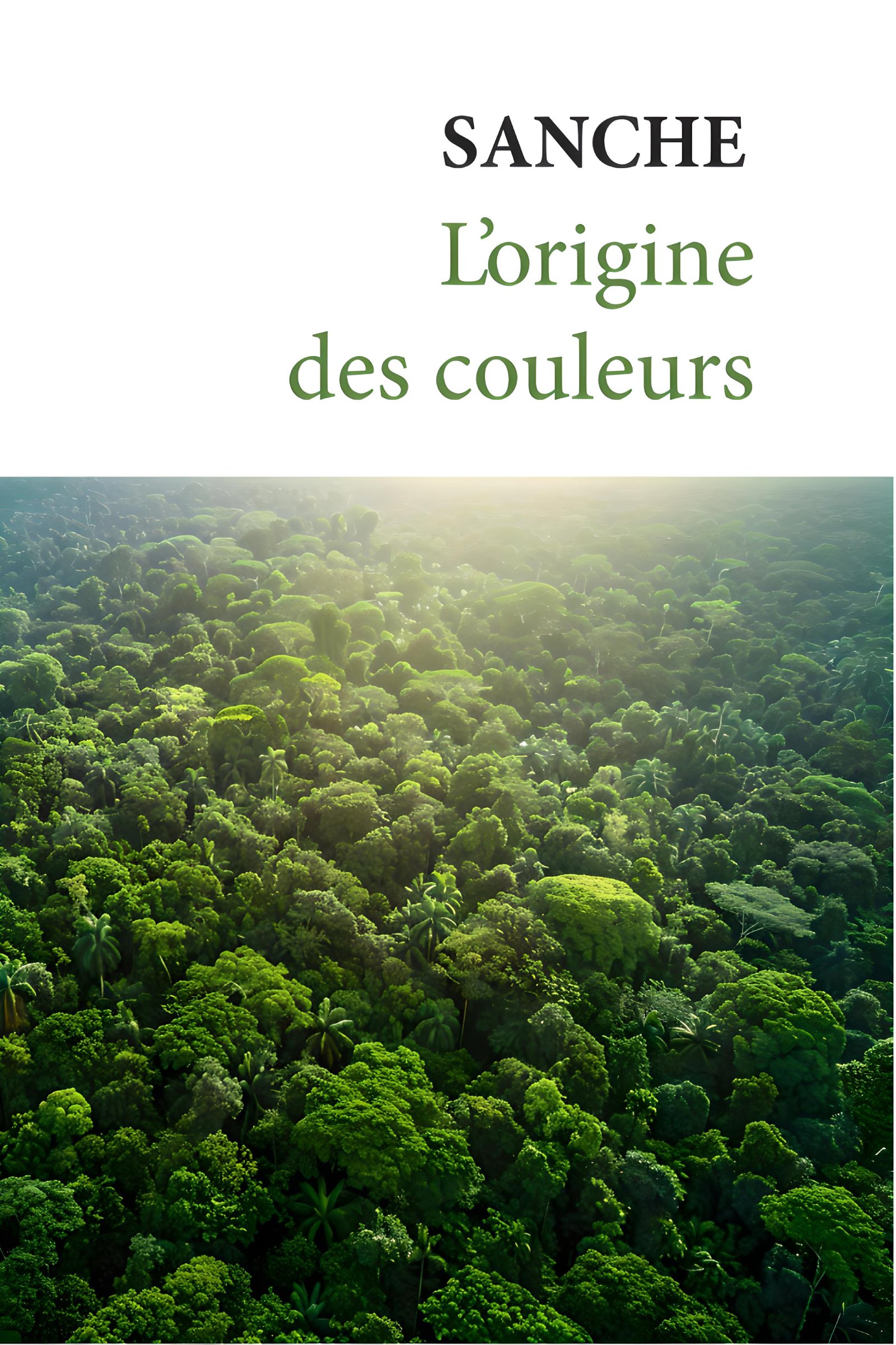 L'origine des couleurs