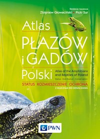Atlas płazów i gadów Polski - Głowaciński Zbigniew, Sura Piotr - książka