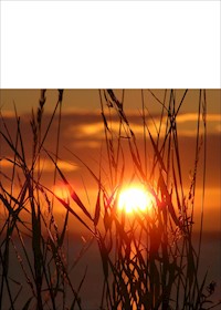 Tolle Wandertipps im Harz - Sonja Moritz - ebook