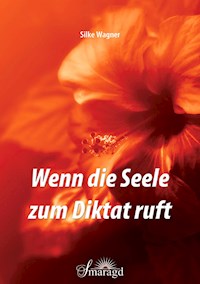 Wenn die Seele zum Diktat ruft - Silke Wagner - ebook