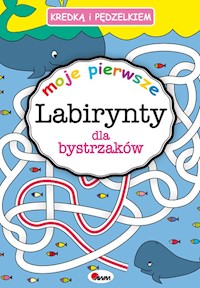 Kredką i pędzelkiem Moje pierwsze labirynty dla bystrzaków - Kozera Piotr - książka