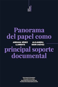 Panorama del papel como principal soporte documental - Adriana Gómez Llorente - ebook
