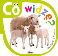 Co widzę Mamy i maluchy - Kozera Piotr - książka