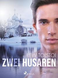Zwei Husaren - Lew Tolstoi - ebook