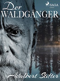 Der Waldgänger - Adalbert  Stifter - ebook