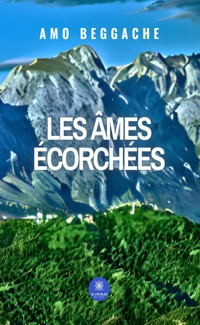 Les âmes écorchées - Amo Beggache - ebook