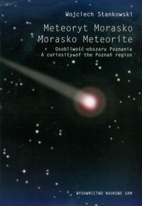 Meteoryt Morasko Osobliwość obszaru Poznania - Wojciech Stankowski - książka