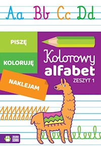 Kolorowy alfabet Zeszyt 1 - Rejch Anita - książka