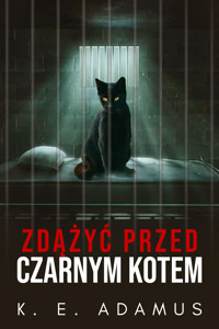 Zdążyć przed czarnym kotem - K. E. Adamus - ebook