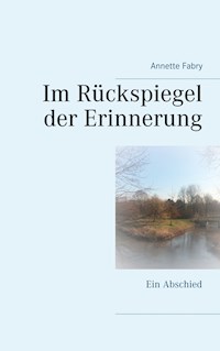 Im Rückspiegel der Erinnerung - Annette Fabry - ebook