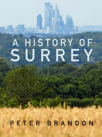 A History of Surrey - Peter Brandon - ebook
