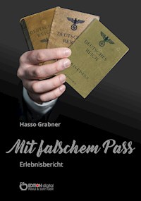 Mit falschem Pass - Hasso Grabner - ebook