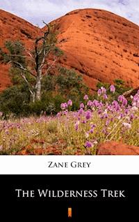 The Wilderness Trek - Grey Zane - ebook