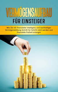 Vermögensaufbau für Einsteiger - Matthias Kopischke - ebook
