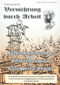 Todesursache - Vernichtung durch Arbeit - Hahmann Ernst-Ulrich - ebook