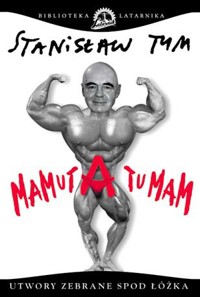 Mamuta tu mam - Tym Stanisław - ebook