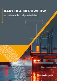 Kary dla kierowców w pytaniach i odpowiedziach - Wiedza i Praktyka sp. z o.o. - ebook
