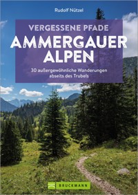 Vergessene Pfade Ammergauer Alpen - Rudolf Nützel - ebook
