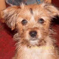 Chikomann - Peter S. Fischer - ebook