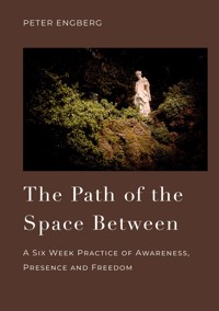 The Path of the Space Between - Peter Engberg - ebook