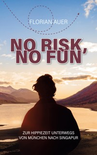 No risk, no fun - Florian Auer - ebook