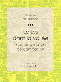 Le Lys dans la vallée - Honoré de Balzac - ebook