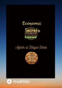 Economic Secrets Exposed - Azhar ul Haque Sario - ebook